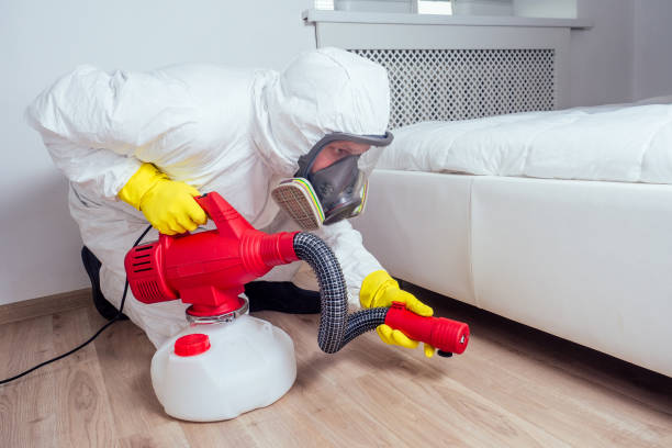 Best Affordable Pest Control Services  in Richmond, KY