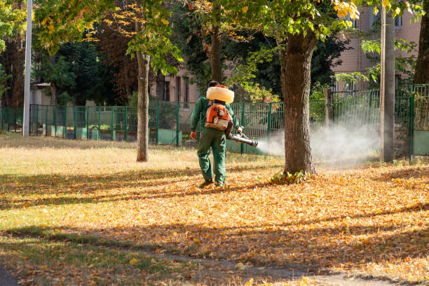 Best Residential Pest Control  in Richmond, KY
