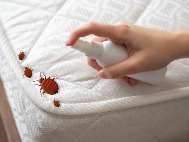 Best Emergency Pest Control  in Richmond, KY